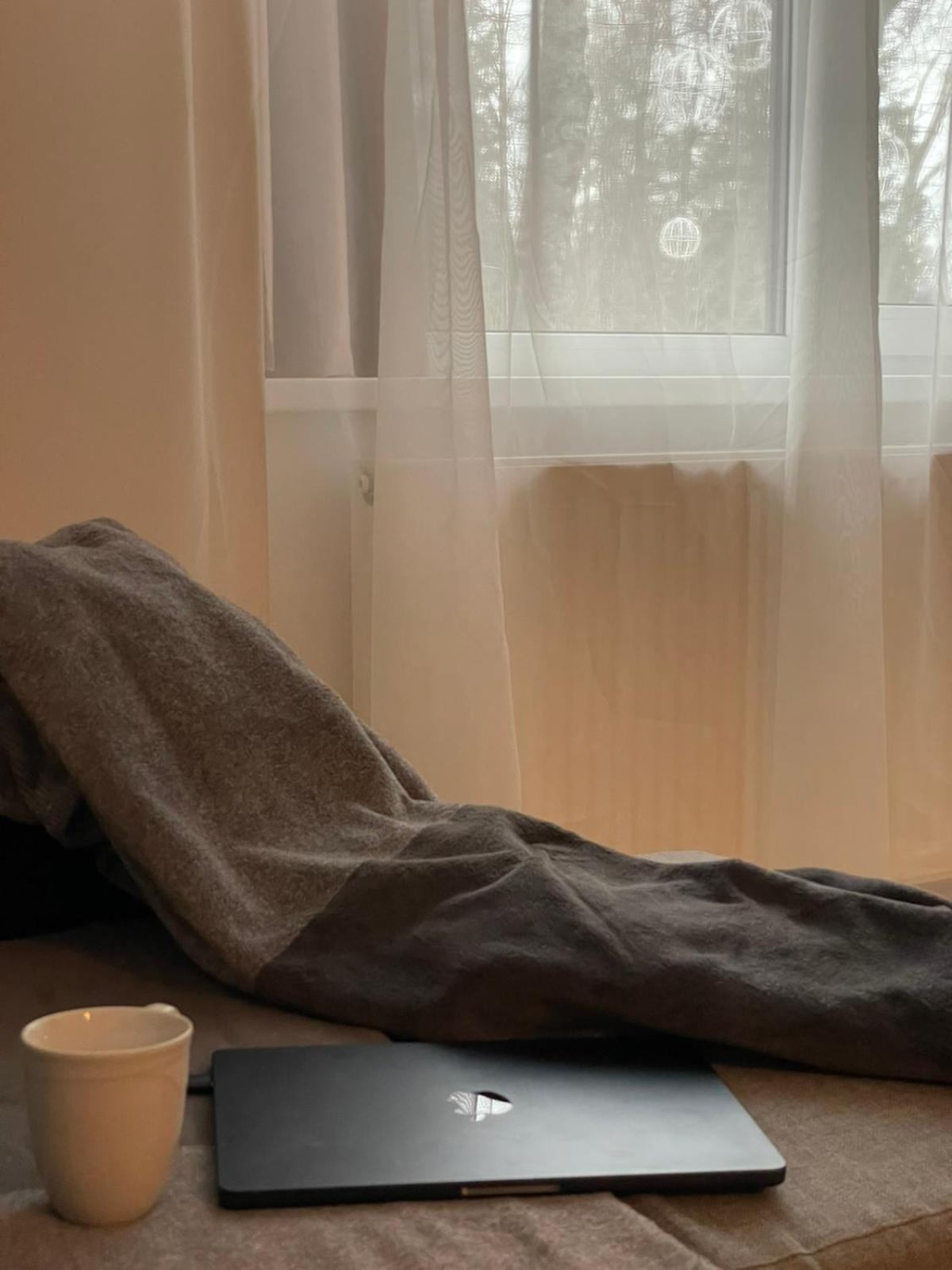 Taikos Apartmentai 2 Druskininkai Exteriér fotografie