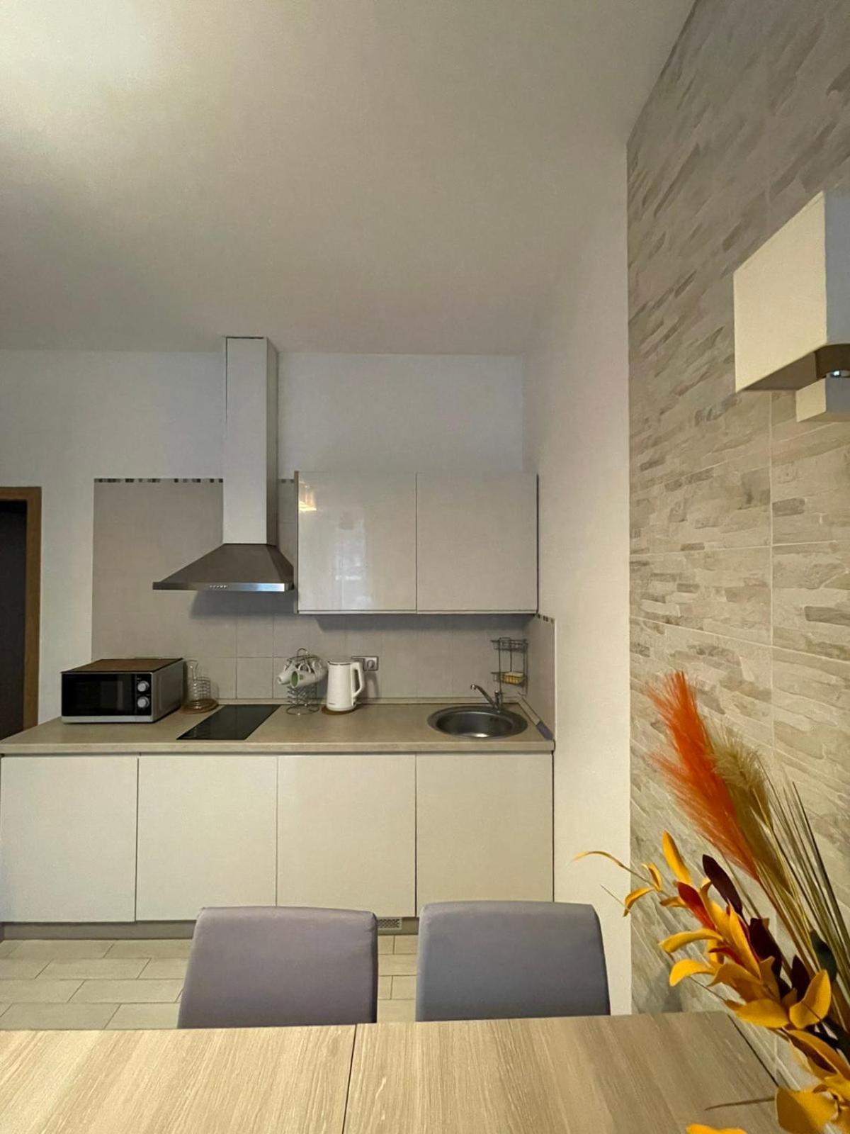 Taikos Apartmentai 2 Druskininkai Exteriér fotografie